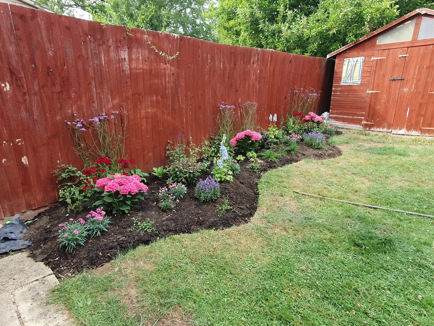 Newly planted flower border beside a fence